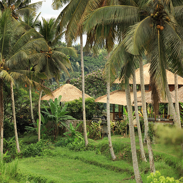 Hotel Banner